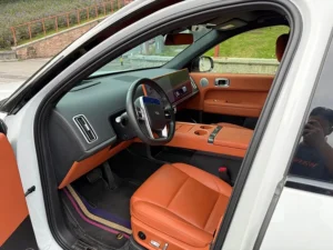 Lixiang L6