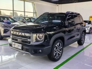 Haval Big Dog